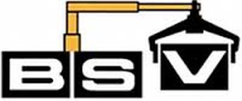 logo BSV